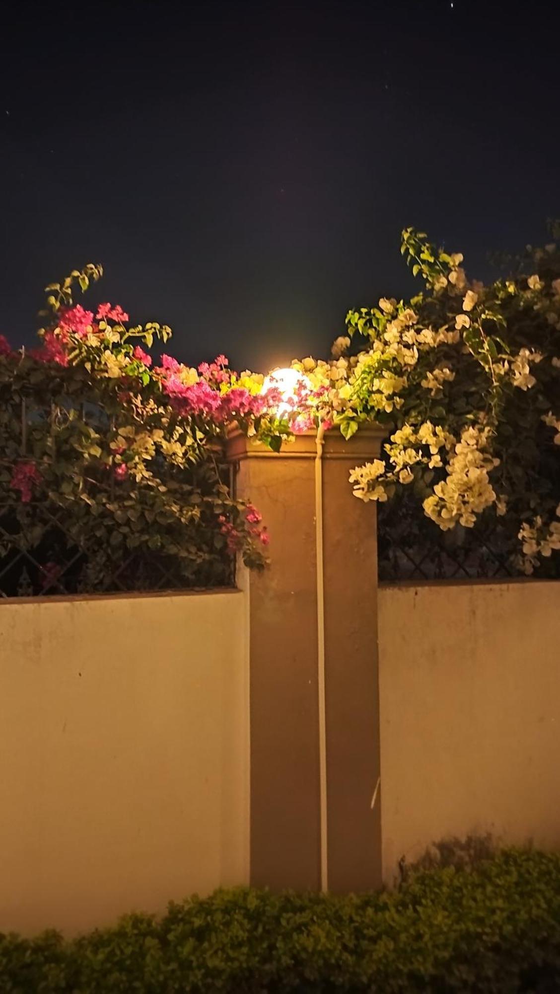 Shree Nanda Guest House Varanasi Luaran gambar