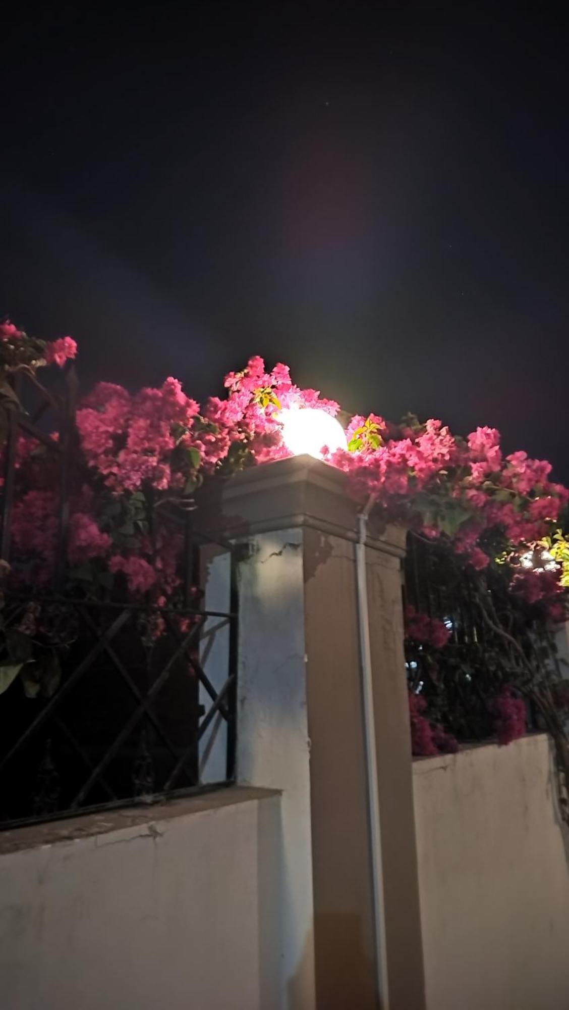 Shree Nanda Guest House Varanasi Luaran gambar